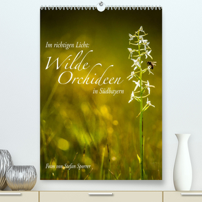 Im richtigen Licht: Wilde Orchideen in Südbayern (Premium, hochwertiger DIN A2 Wandkalender 2023, Kunstdruck in Hochglanz) von Spörrer,  Stefan