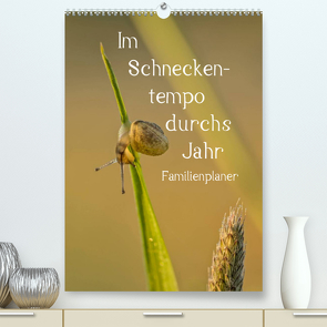 Im Schneckentempo durchs Jahr / Familienplaner (Premium, hochwertiger DIN A2 Wandkalender 2023, Kunstdruck in Hochglanz) von Potratz,  Andrea