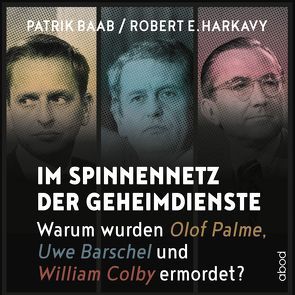 Im Spinnennetz der Geheimdienste von Baab,  Patrik, Harkavy,  Robert E., Zwingmann,  Patrick