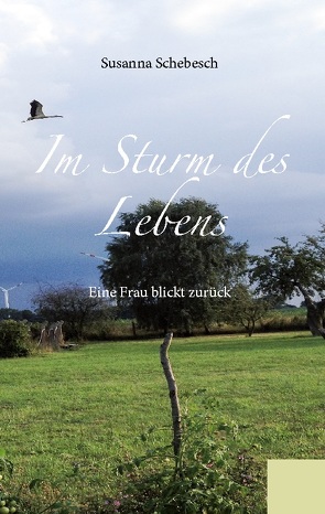 Im Sturm des Lebens von Schebesch,  Edith Susanna, Schebesch,  Susanna