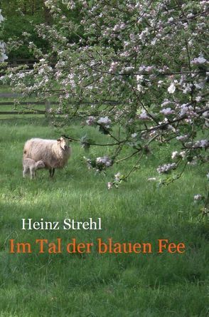 Im Tal der blauen Fee von Strehl,  Heinz