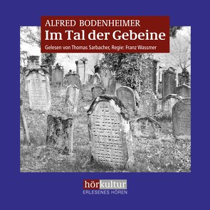 Im Tal der Gebeine von Bodenheimer,  Alfred, Sarbacher,  Thomas, Wassmer,  Franz