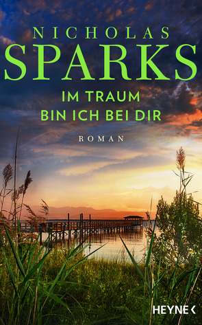 Im Traum bin ich bei dir von Finke,  Astrid, Sparks,  Nicholas