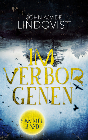 Im Verborgenen von Lindqvist,  John Ajvide