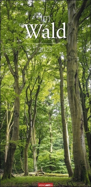 Im Wald Kalender 2023. Die heimischen Wälder in faszinierenden Fotos dargestellt in einem XXL Kalender. Bäume und Co. in einem länglichen Kalender. von Weingarten