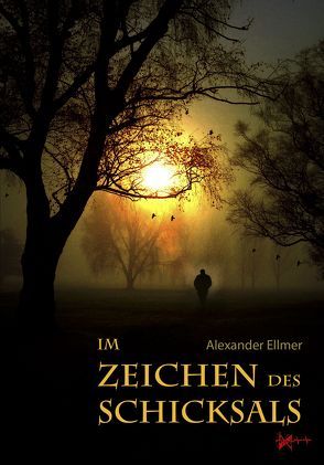 Im Zeichen des Schicksals von Ellmer,  Alexander