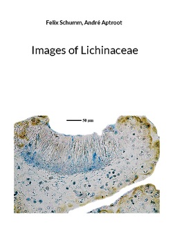 Images of Lichinaceae von Aptroot,  Andre, Schumm,  Felix