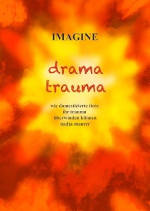 IMAGINE drama trauma von Graf,  Lukas, Maurer,  Nadja, Vischer,  Sophie