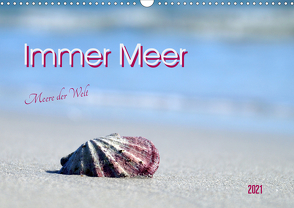 Immer Meer. Meere der Welt (Wandkalender 2021 DIN A3 quer) von Flori0