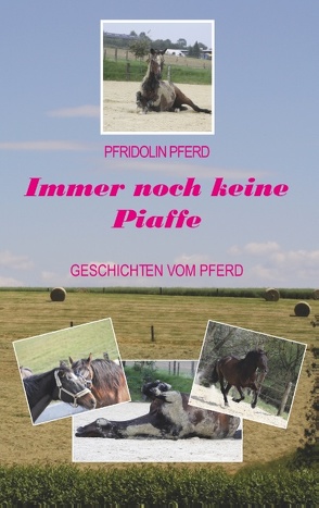 Immer noch keine Piaffe von Pferd,  Pfridolin