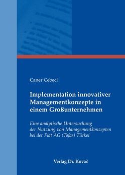 Implementation innovativer Managementkonzepte in einem Großunternehmen von Cebeci,  Caner