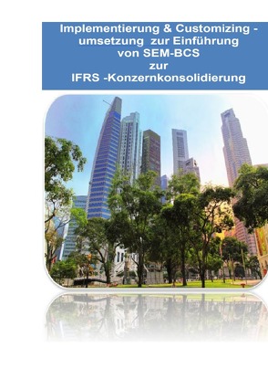 Implementierung & Customizingumsetzung bei SAP SEM-BCS zur Konzernkonsolidierungs gemäss IFRS von Emrich,  Hans-Georg