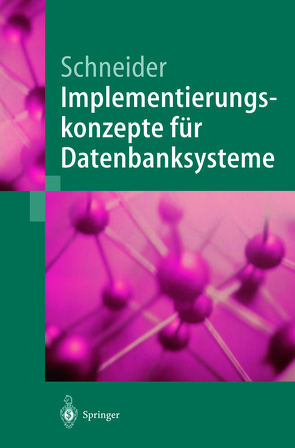 Implementierungskonzepte für Datenbanksysteme von Schneider,  Markus