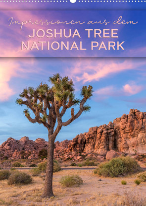 Impressionen aus dem JOSHUA TREE NATIONAL PARK (Wandkalender 2023 DIN A2 hoch) von Viola,  Melanie