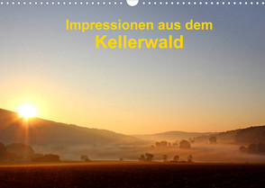 Impressionen aus dem Kellerwald (Wandkalender 2022 DIN A3 quer) von Busch,  Eva