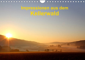 Impressionen aus dem Kellerwald (Wandkalender 2022 DIN A4 quer) von Busch,  Eva