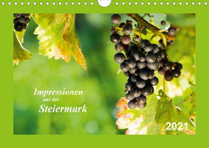 Impressionen aus der Steiermark (Wandkalender 2021 DIN A4 quer) von Dzierzawa (DoraZett),  Judith