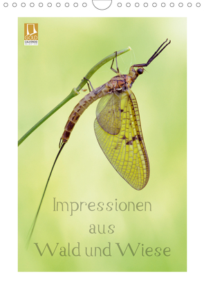 Impressionen aus Wald und Wiese (Wandkalender 2021 DIN A4 hoch) von Schnepp,  Rolf