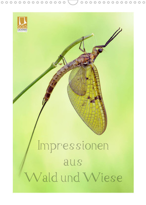 Impressionen aus Wald und Wiese (Wandkalender 2023 DIN A3 hoch) von Schnepp,  Rolf