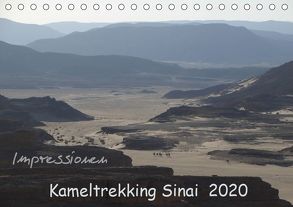 Impressionen Kameltrekking Sinai 2020 (Tischkalender 2020 DIN A5 quer) von Wesselak,  Mucki