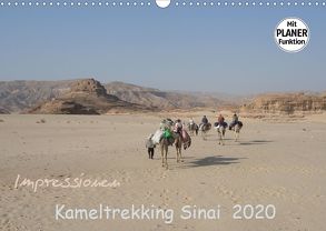 Impressionen Kameltrekking Sinai 2020 (Wandkalender 2020 DIN A3 quer) von Wesselak,  Mucki