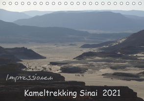 Impressionen Kameltrekking Sinai 2021 (Tischkalender 2021 DIN A5 quer) von Wesselak,  Mucki