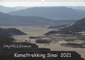 Impressionen Kameltrekking Sinai 2021 (Wandkalender 2021 DIN A3 quer) von Wesselak,  Mucki