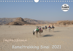 Impressionen Kameltrekking Sinai 2021 (Wandkalender 2021 DIN A4 quer) von Wesselak,  Mucki