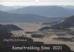 Impressionen Kameltrekking Sinai 2021 (Wandkalender 2021 DIN A4 quer) von Wesselak,  Mucki