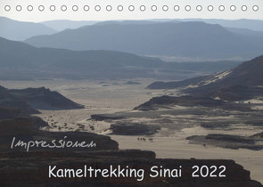 Impressionen Kameltrekking Sinai 2022 (Tischkalender 2022 DIN A5 quer) von Wesselak,  Mucki