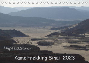 Impressionen Kameltrekking Sinai 2023 (Tischkalender 2023 DIN A5 quer) von Wesselak,  Mucki