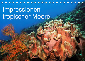 Impressionen tropischer Meere (Tischkalender 2023 DIN A5 quer) von Rauchenwald,  Martin