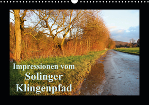 Impressionen vom Solinger Klingenpfad (Wandkalender 2021 DIN A3 quer) von Bauch,  Dorothee