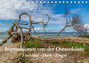 Impressionen von der Ostsee Fischland-Darß-Zingst (Tischkalender 2021 DIN A5 quer) von Thomas,  Natalja