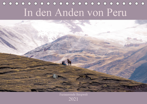 In den Anden von Peru – Fazinierende Bergwelt (Tischkalender 2021 DIN A5 quer) von Drews,  Marianne