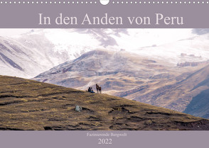 In den Anden von Peru – Fazinierende Bergwelt (Wandkalender 2022 DIN A3 quer) von Drews,  Marianne