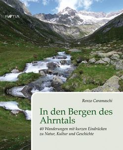 In den Bergen des Ahrntals von Caramaschi,  Renzo