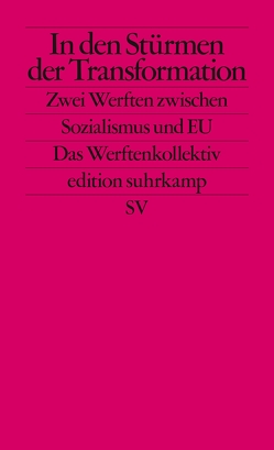 In den Stürmen der Transformation von Brunnbauer,  Ulf, Filipkowski,  Piotr, Hodges,  Andrew, Petrungaro,  Stefano, Ther,  Philipp, Wegenschimmel,  Peter