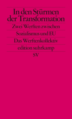 In den Stürmen der Transformation von Brunnbauer,  Ulf, Filipkowski,  Piotr, Hodges,  Andrew, Petrungaro,  Stefano, Ther,  Philipp, Wegenschimmel,  Peter