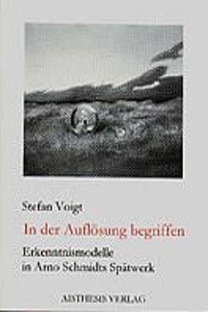 In der Auflösung begriffen von Voigt,  Stefan