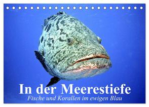 In der Meerestiefe. Fische und Korallen im ewigen Blau (Tischkalender 2024 DIN A5 quer), CALVENDO Monatskalender von Stanzer,  Elisabeth