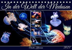 In der Welt der Medusen (Tischkalender 2023 DIN A5 quer) von Kleemann,  Claudia