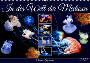 In der Welt der Medusen (Wandkalender 2023 DIN A2 quer) von Kleemann,  Claudia