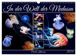 In der Welt der Medusen (Wandkalender 2024 DIN A3 quer), CALVENDO Monatskalender von Kleemann,  Claudia