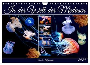 In der Welt der Medusen (Wandkalender 2024 DIN A4 quer), CALVENDO Monatskalender von Kleemann,  Claudia