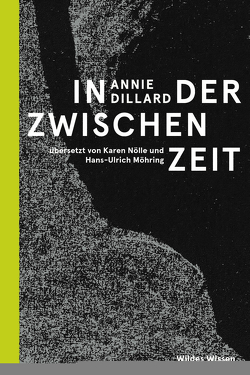 In der Zwischenzeit von Dillard,  Annie, Möhring,  Hans Ulrich, Noelle,  Karen, Schalansky,  Judith