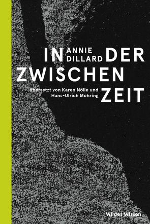 In der Zwischenzeit von Dillard,  Annie, Möhring,  Hans Ulrich, Noelle,  Karen