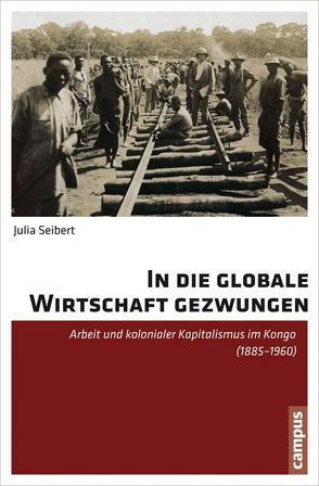 In die globale Wirtschaft gezwungen von Seibert,  Julia