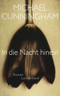 In die Nacht hinein von Cunningham,  Michael, Schmidt,  Georg