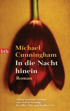 In die Nacht hinein von Cunningham,  Michael, Schmidt,  Georg